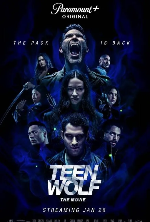 Film en serieposter in IPTV Totaal 3
